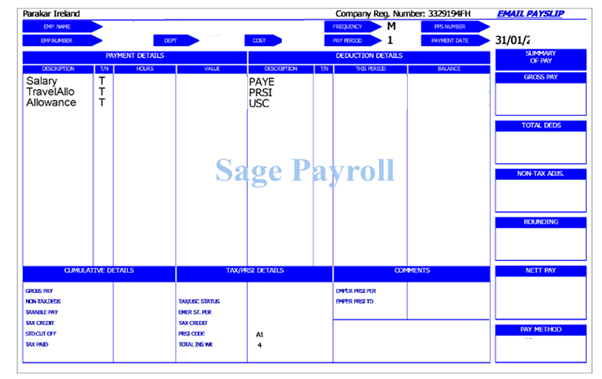 Payslips in Ireland How does it work Parakar